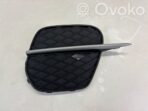 BMW X5 E70 Grille inférieure de pare-chocs avant 51117222860 K3389 7222860