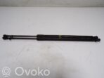 BMW X5 E53 Vérin de capot arrière 51248402405