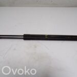 BMW X5 E53 Vérin de capot arrière 51248402405