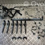 BMW 3 F30 F35 F31 Kit d'injection de carburant 7805423 7823463 7810702