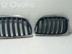 BMW X5 E53 Grille d'aile