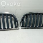 BMW X5 E53 Grille d'aile