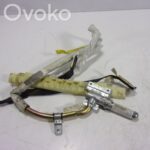 BMW X5 E53 Airbag porte avant 72128267158 8582671567