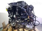 BMW 5 E60 E61 Moteur N52B25AF 11000415402 05376450 – Image 2